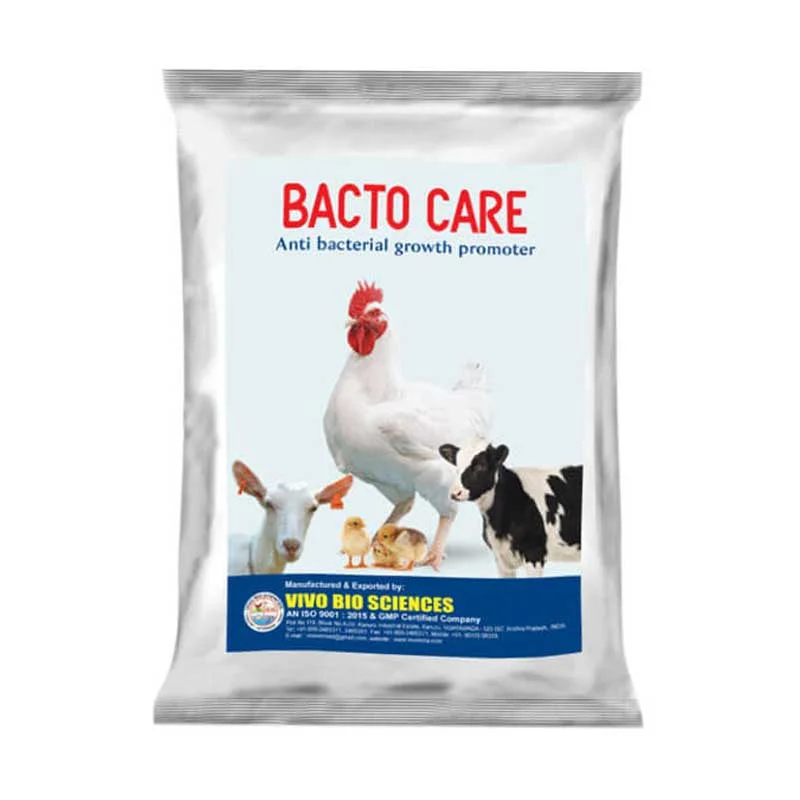 BACTO CARE 1 anti-bacterial feed supplement