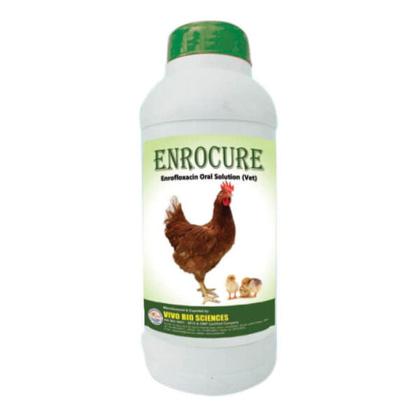 Poultry feed supplements