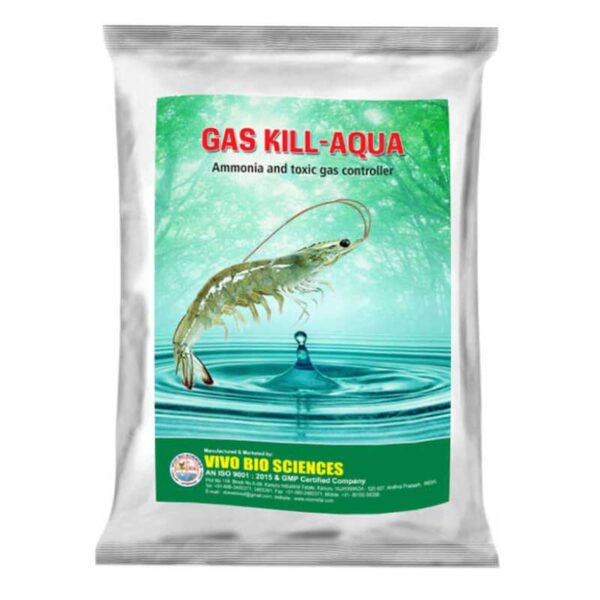 bind ammonia and other poisonous gases in prawn culture