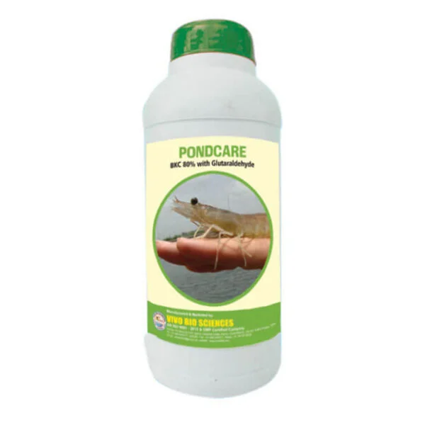 powerful water disinfectants