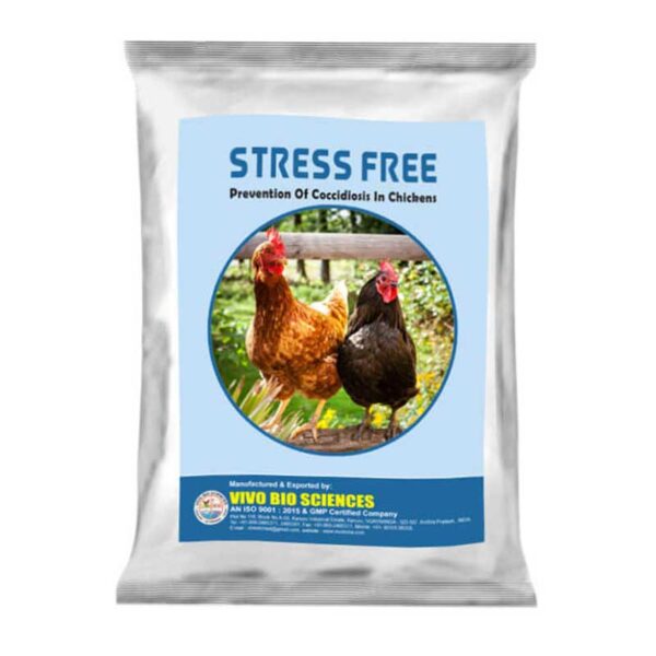 Poultry feed supplements