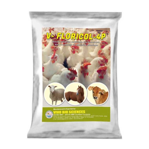 Poultry feed supplements