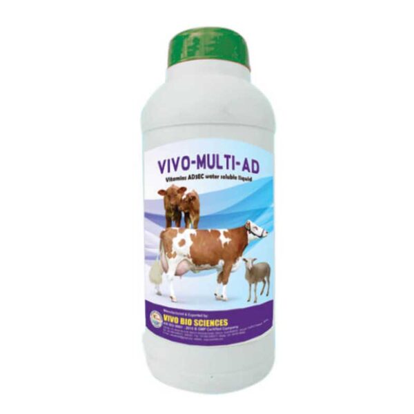 animal health feed supplements