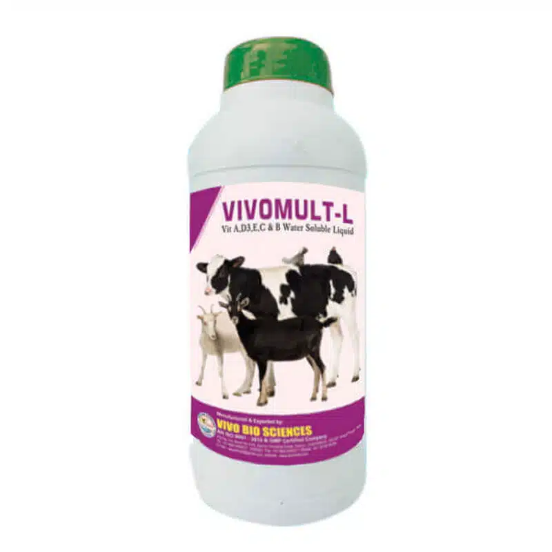 VIVOMULT-L 1 animal health feed supplements