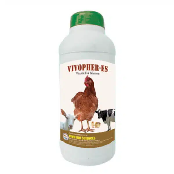 animal health feed supplements